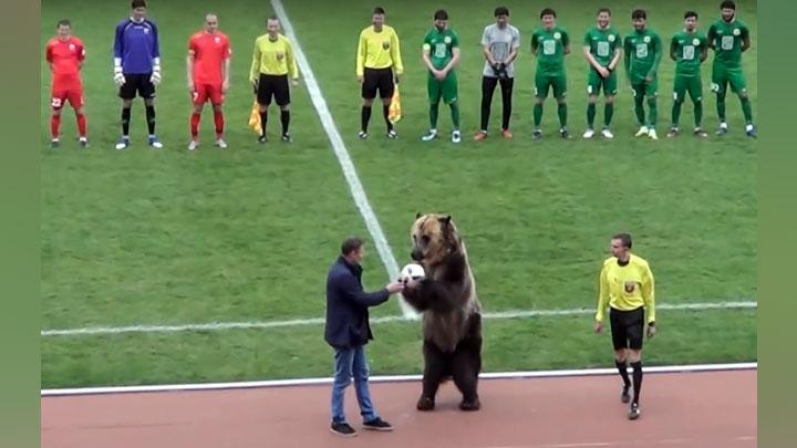 Tim Sepak Bola Polandia Tak Mau Tanding Lawan Rusia