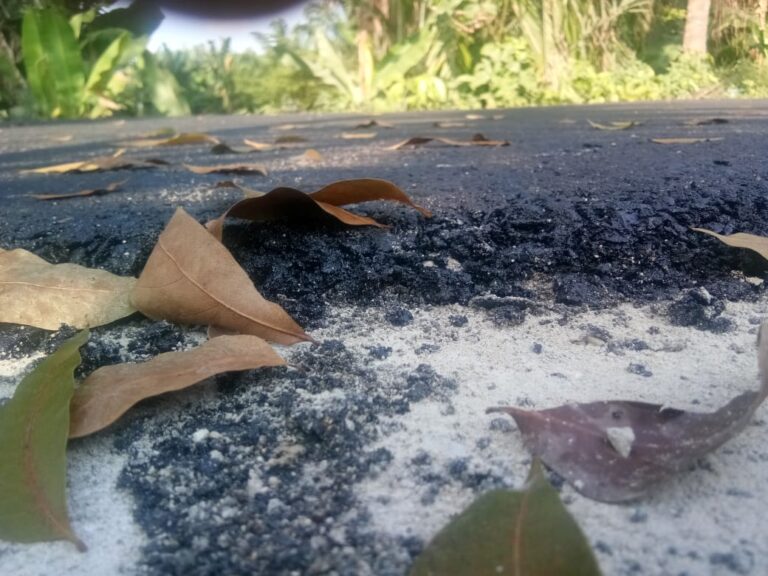 Diduga asal jadi Proyek Siluman Jalan Penghubung Jalinsum Depan RM Sempurna perlu di Periksa Kejatisu