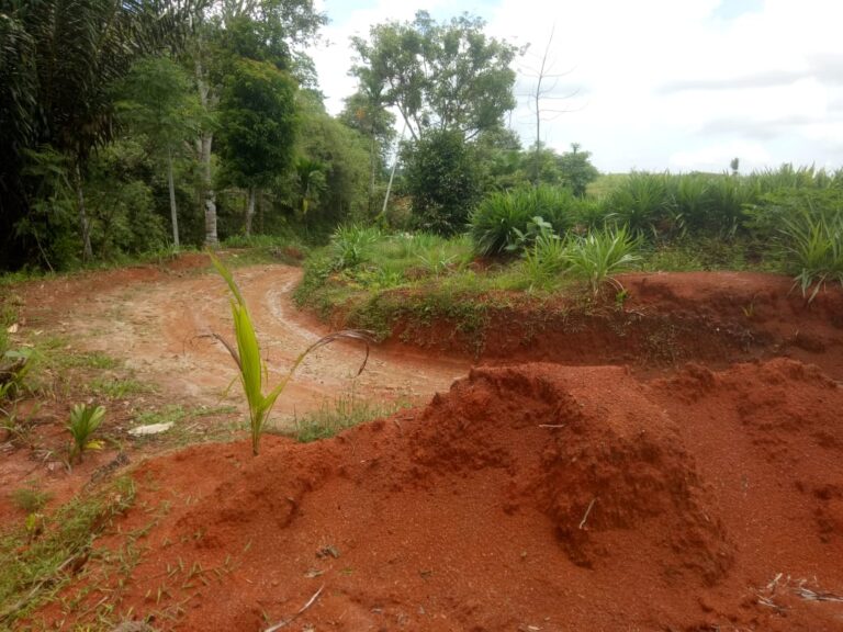 Lahan HGU PTPN IV Kebun Laras Alih Fungsi Menjadi Jalan Angkutan Galian C