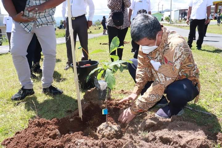 Pemkab Toba dan Dinas lingkungan Hidup Sumut tanam 2.672 bibit pohon di Kawasan Kaldera Toba