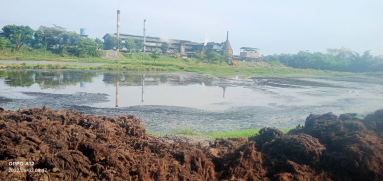 Pabrik Kelapa Sawit PT. HBM Diduga Dibuang Limbah Ke Sungai Boluk