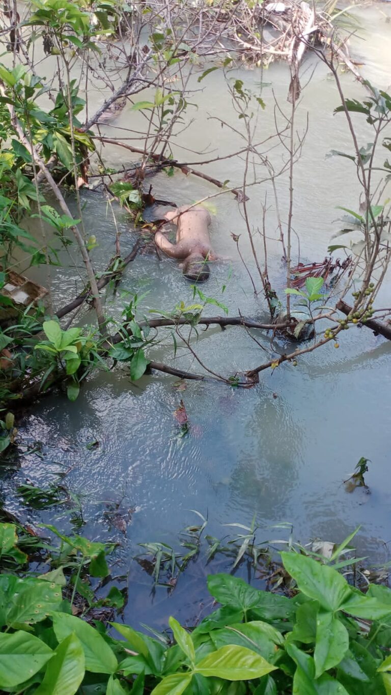 Korban Hanyut Di Sungai Manahul Akhirnya Ditemukan
