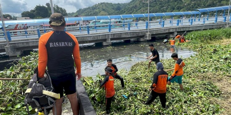 Basarnas Bersama Penggiat Lingkungan Bersihkan Enceng Gondok di Danau Toba