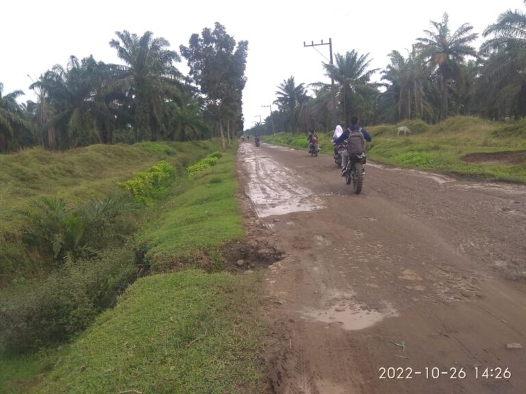 Jalan Simpang Mangga Laras Butuh Perhatian