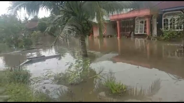 Permukiman Warga Pardomuan Nauli Pematang Bandar Digenangi Banjir