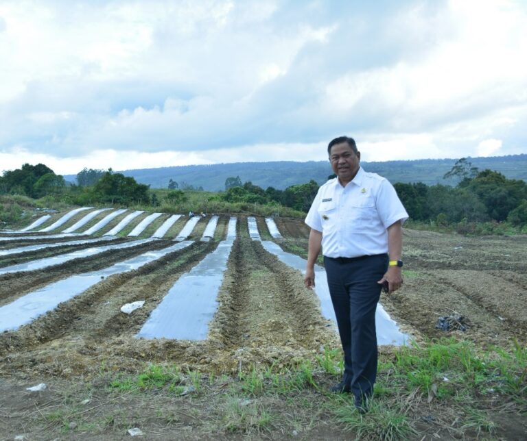 Eddy Berutu Terapkan 4 K dan Pencanangan KPT Terpadu untuk Pengendalian Inflasi Pangan