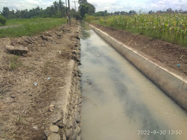 Saluran Irigasi DI Javakolonisasi Purbaganda Butuh Perbaikan