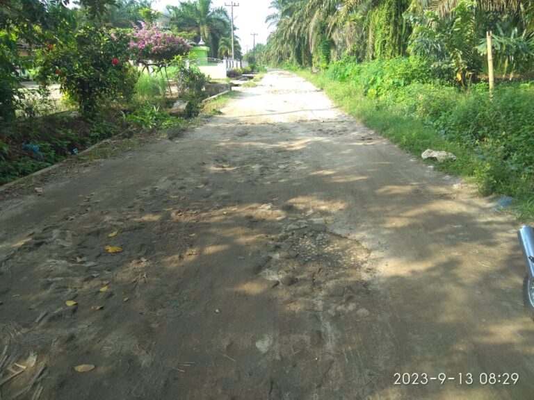 Jalan Bandar Pulo Tujuan Talun Madear Tidak Pernah Diperbaiki