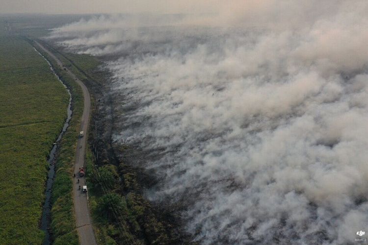 Malaysia mendesak Indonesia untuk mengambil tindakan, Kabut Asap Tidak Bisa Menjadi Hal Biasa