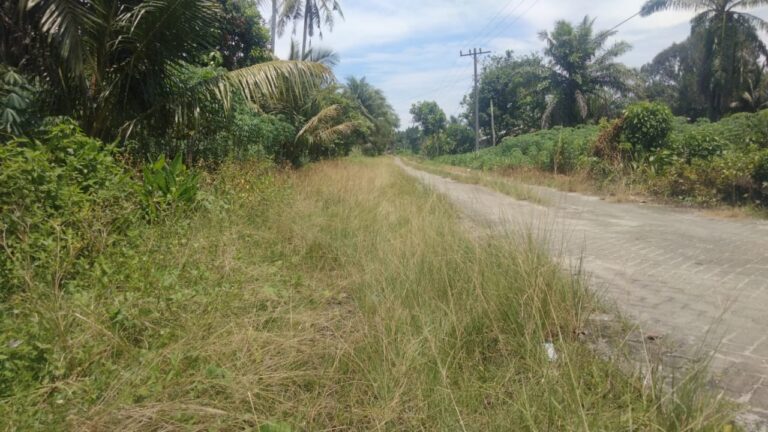 Kondisi jalan Metro Sangat Memperihatinkan