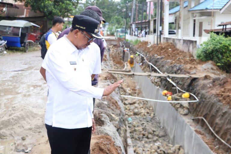Sigap Keluhan Warga, Wabup Zonny Waldi Langsung Sidak Proyek Drainase Perdagangan