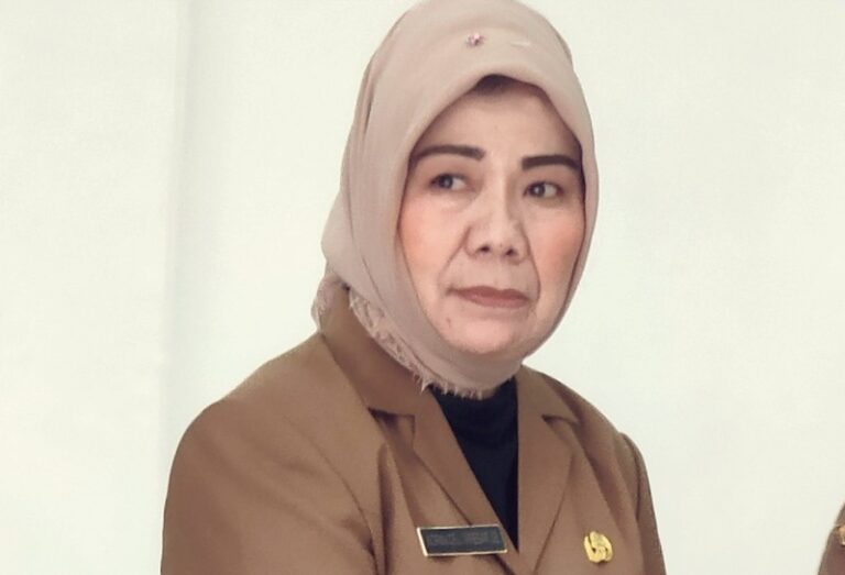 Norma Deli Siregar Menguat Dalam Perbincangan Soal Pj Bupati Batubara 2024