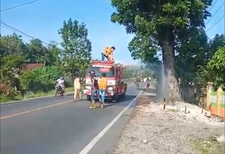 Warga Desak Polisi Tangkap Pembakar Pohon Kayu Didepan Usaha Peti Mati Pasar Baru Balata
