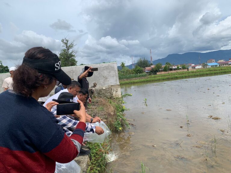 Cawabup Toba Nomor Urut 1 Dukung Parsoban Tabur Benih Ikan Nila
