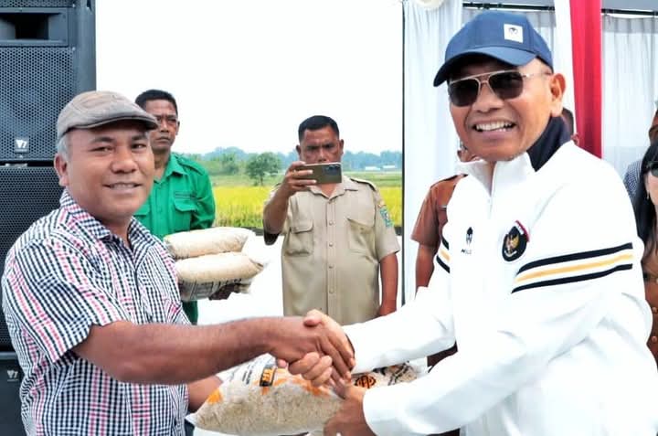 Bupati dan Wakil Bupati Simalungun Hadiri Panen Raya Poktan Bina Tani Muara Mulia Tanah Jawa