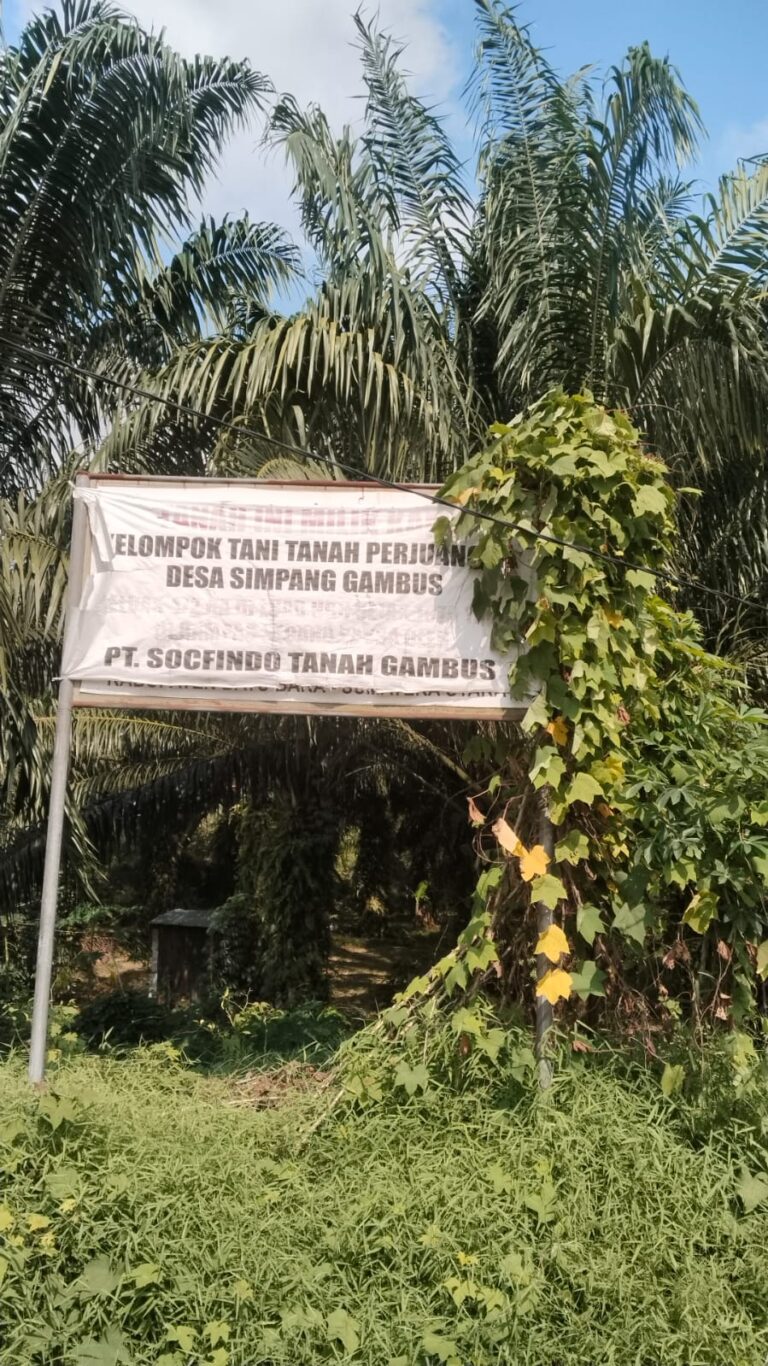 Bukti Peninggalan Sejarah Tanah Milik Petani, di Atas Lahan PT Socfindo Tanah Gambus