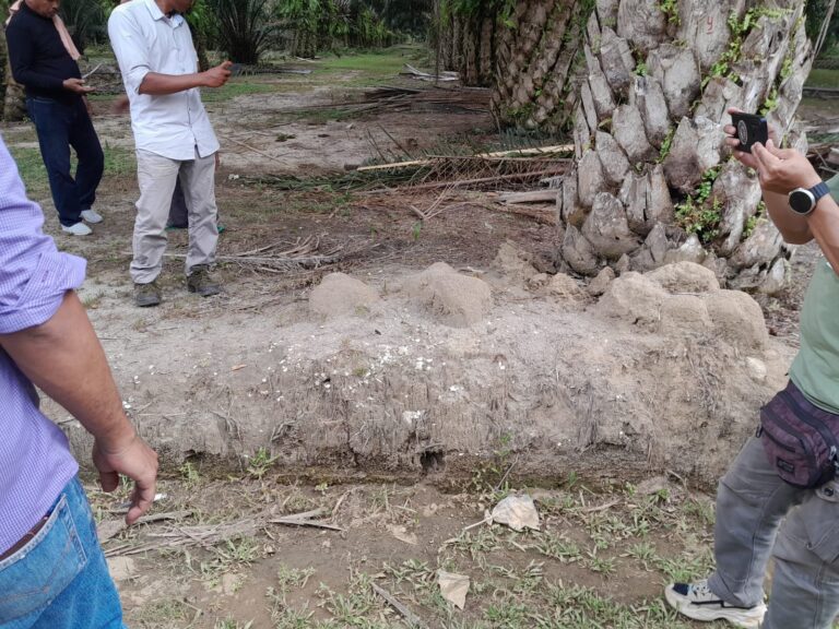 Salah Satu Bukti Sejarah Permukiman Petani Desa Simpang Gambus